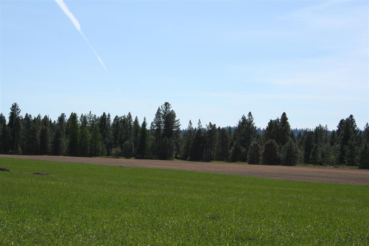 1200 West Half Moon Road, Unit LOT B Colbert, WA 99005 - Photo 12 of 20