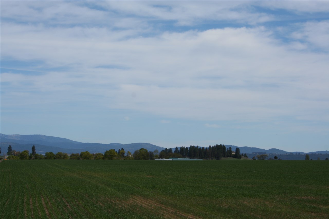 1200 West Half Moon Road, Unit LOT B Colbert, WA 99005 - Photo 15 of 20