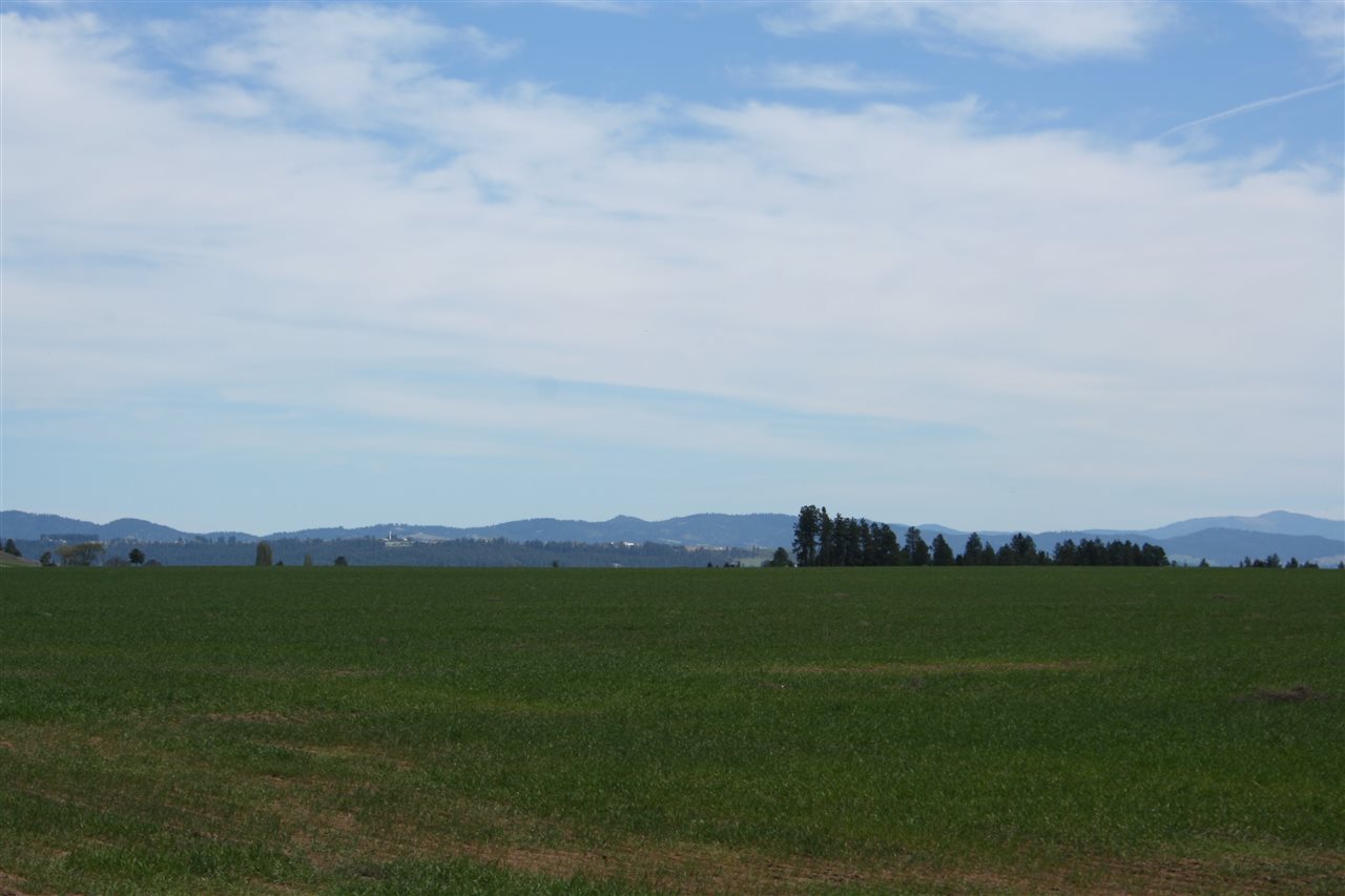 1200 West Half Moon Road, Unit LOT B Colbert, WA 99005 - Photo 16 of 20