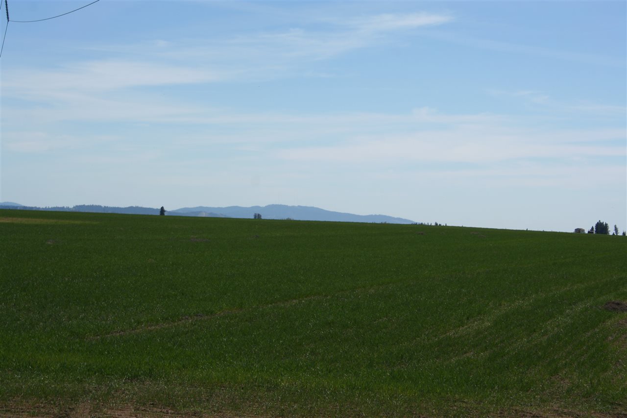 1200 West Half Moon Road, Unit LOT B Colbert, WA 99005 - Photo 17 of 20