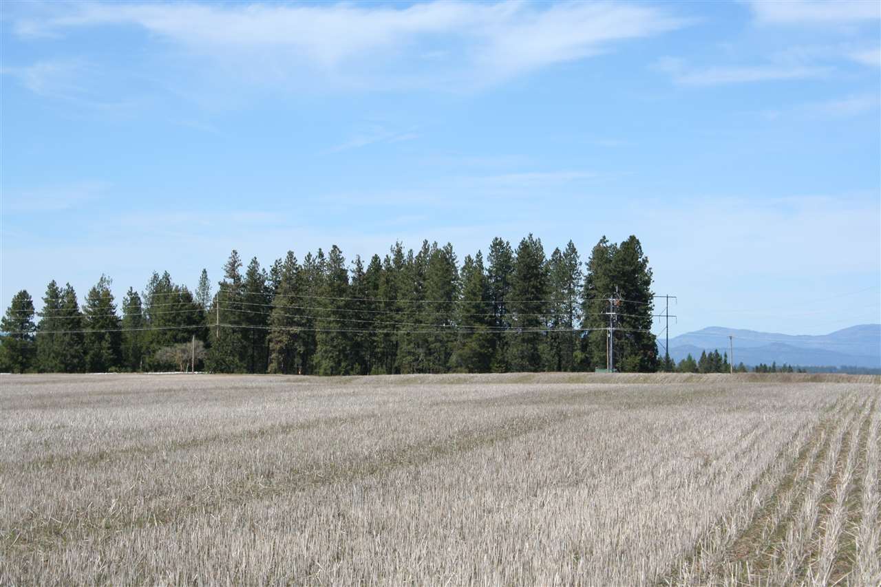 1200 West Half Moon Road, Unit LOT B Colbert, WA 99005 - Photo 3 of 20