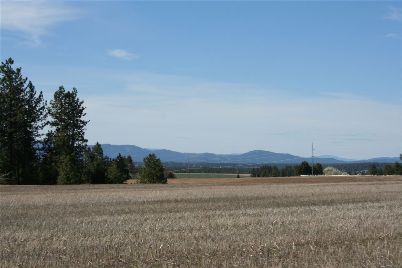 1200 West Half Moon Road, Unit LOT B Colbert, WA 99005 - Photo 4 of 20