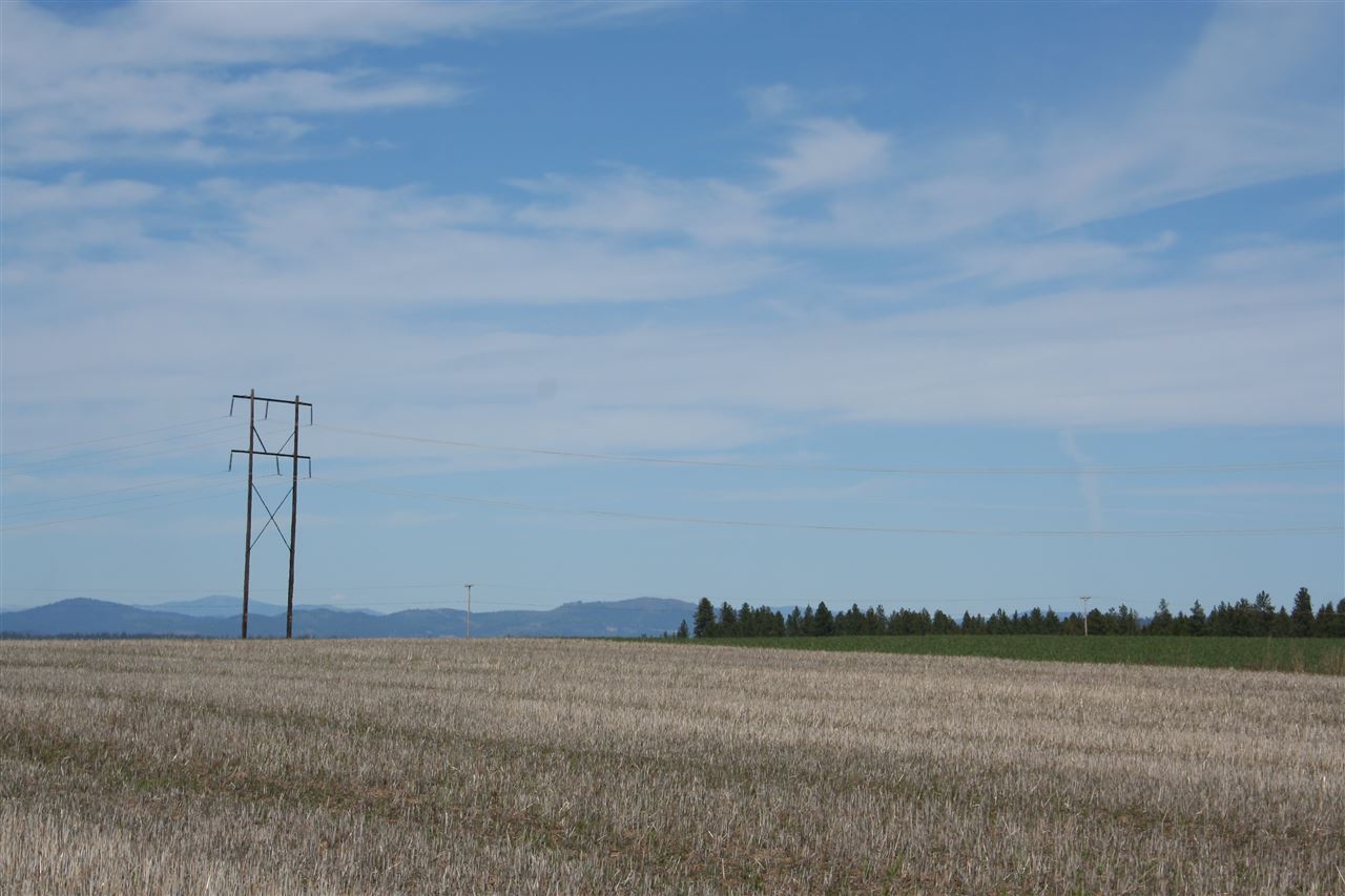 1200 West Half Moon Road, Unit LOT B Colbert, WA 99005 - Photo 6 of 20