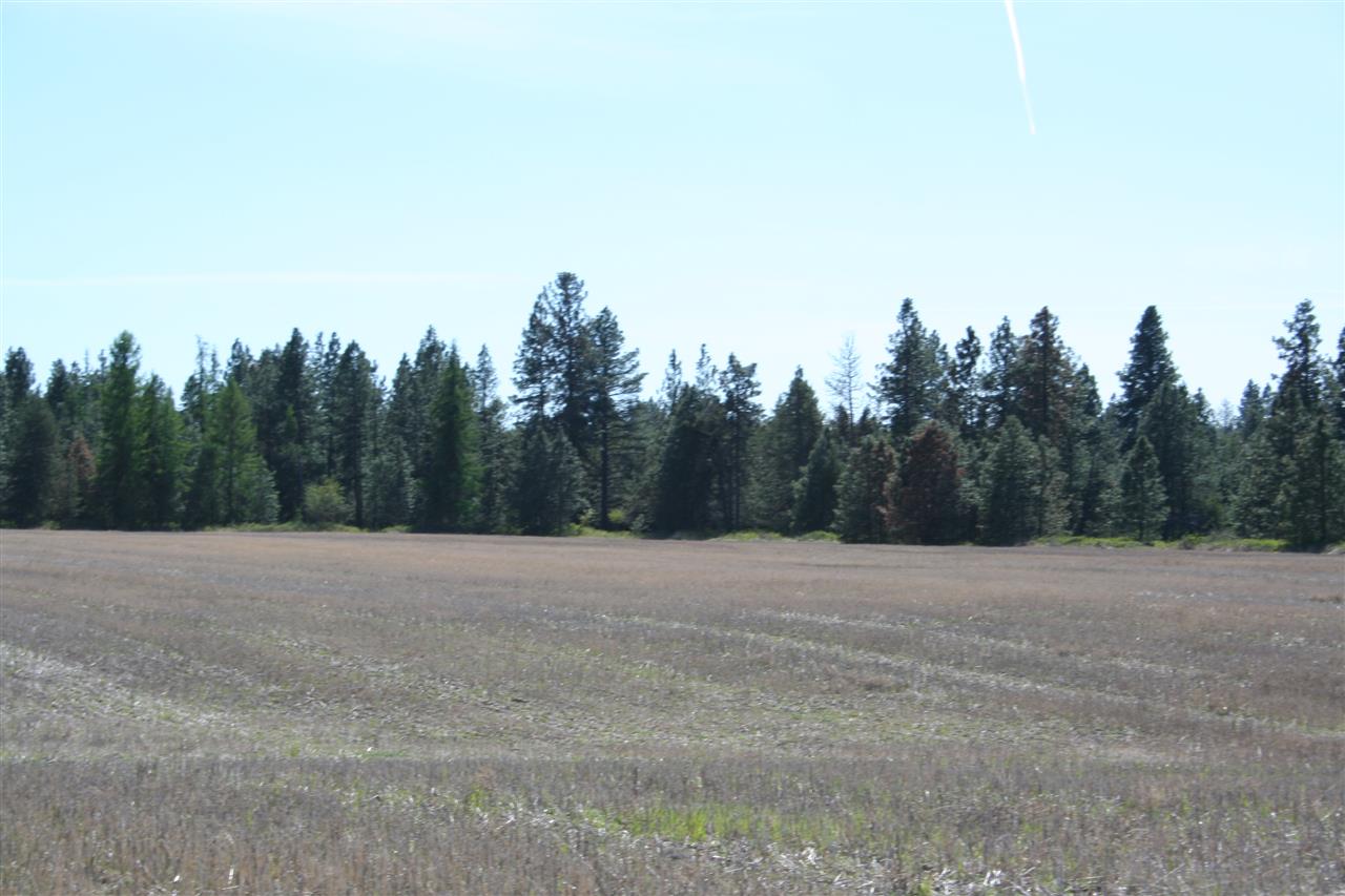 1200 West Half Moon Road, Unit LOT B Colbert, WA 99005 - Photo 7 of 20