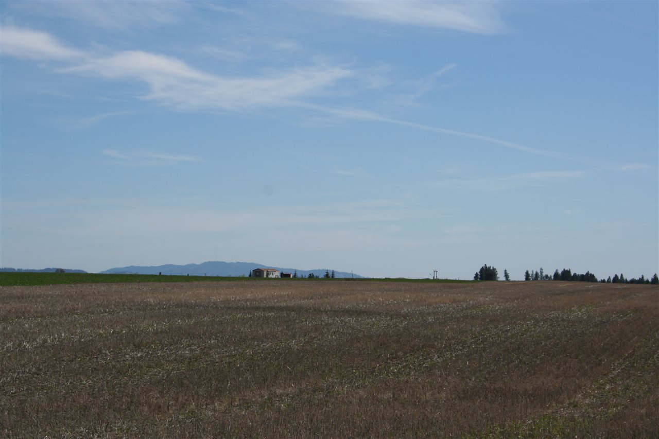 1200 West Half Moon Road, Unit LOT B Colbert, WA 99005 - Photo 8 of 20