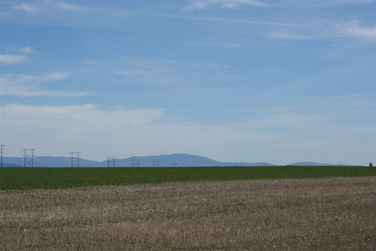 1200 West Half Moon Road, Unit LOT B Colbert, WA 99005 - Photo 9 of 20