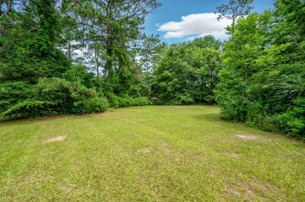a view of a garden with a tree