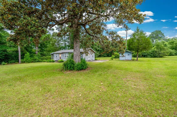 a view of a green field with plants in front of the house