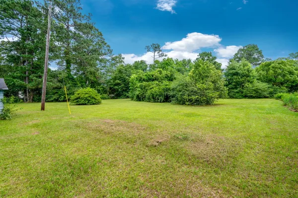 a view of a yard with a trees