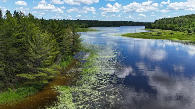 $269,000 | 40 Crane Lake, Crane Lake, MN 55725