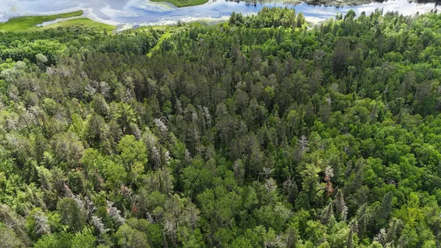 $269,000 | 40 Crane Lake, Crane Lake, MN 55725