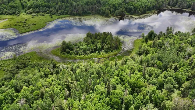 $269,000 | 40 Crane Lake, Crane Lake, MN 55725