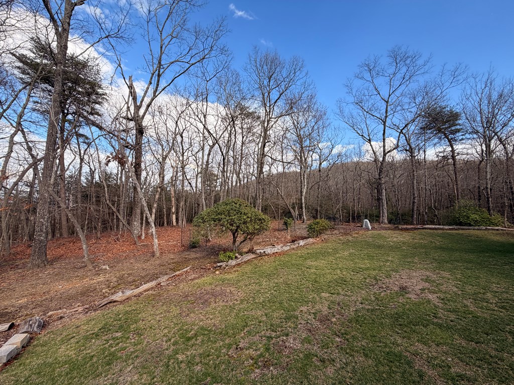 1950 St. Andrews Way Jasper, GA 30143 - Photo 77 of 91 Front yard with seasonal mountain views through th