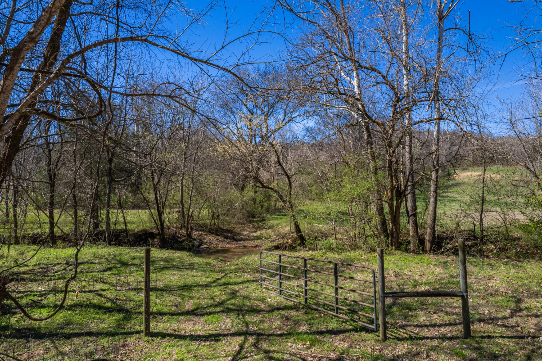 0 Dowell Branch Road Columbia, TN 38401 - Photo 28 of 60 Gallery Image 28