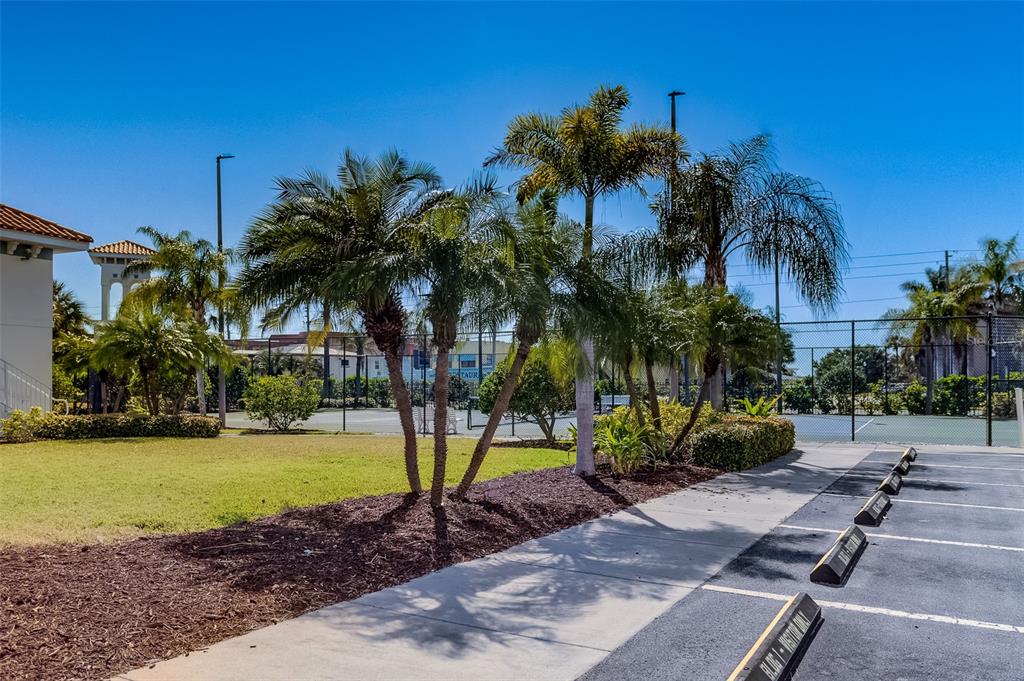 17745 Gulf Boulevard, Unit 303 Redington Shores, FL 33708 - Photo 78 of 83 a view of a backyard