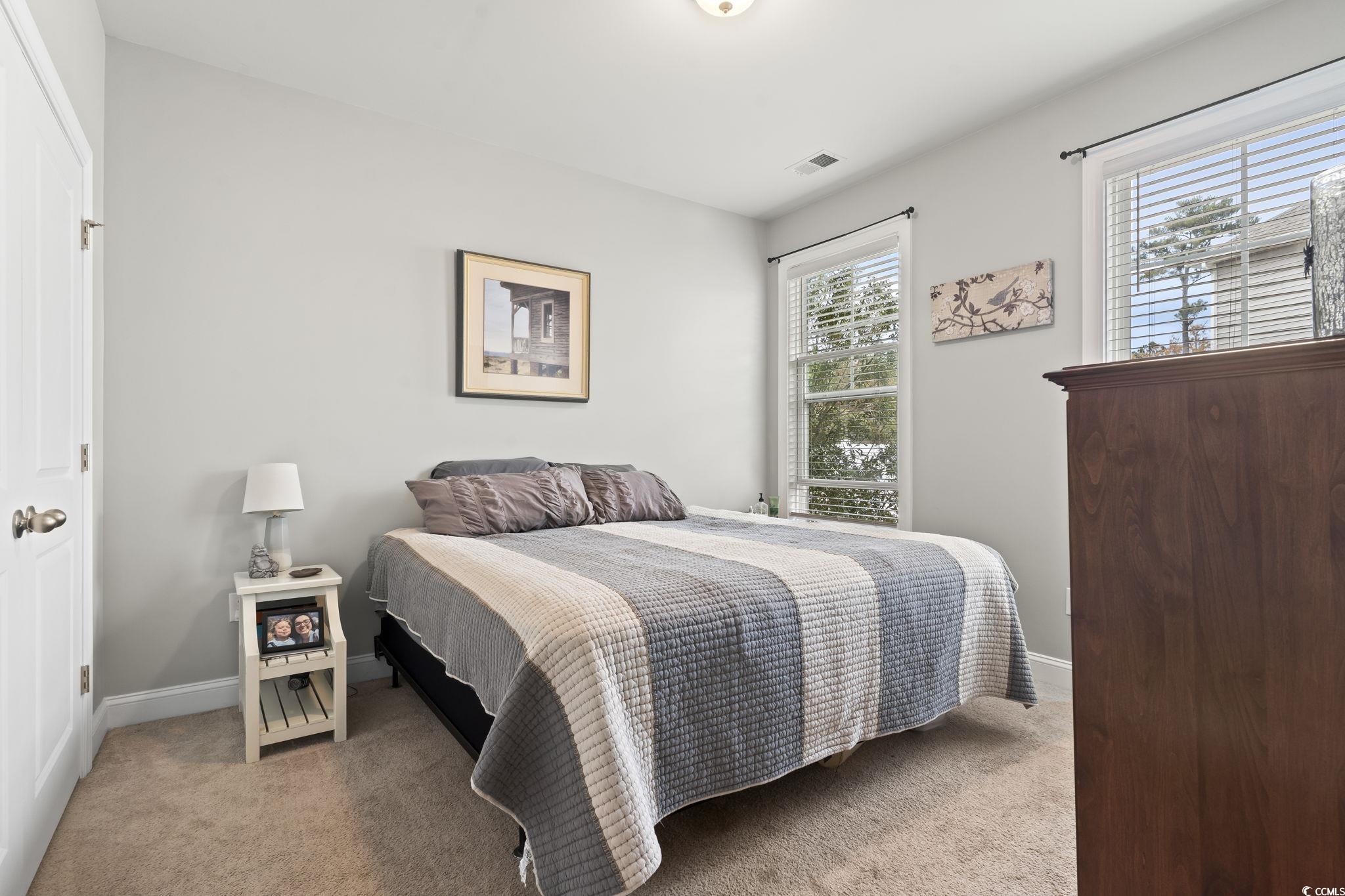 144 Bucky Loop Murrells Inlet, SC 29576 - Photo 30 of 40 View of carpeted bedroom