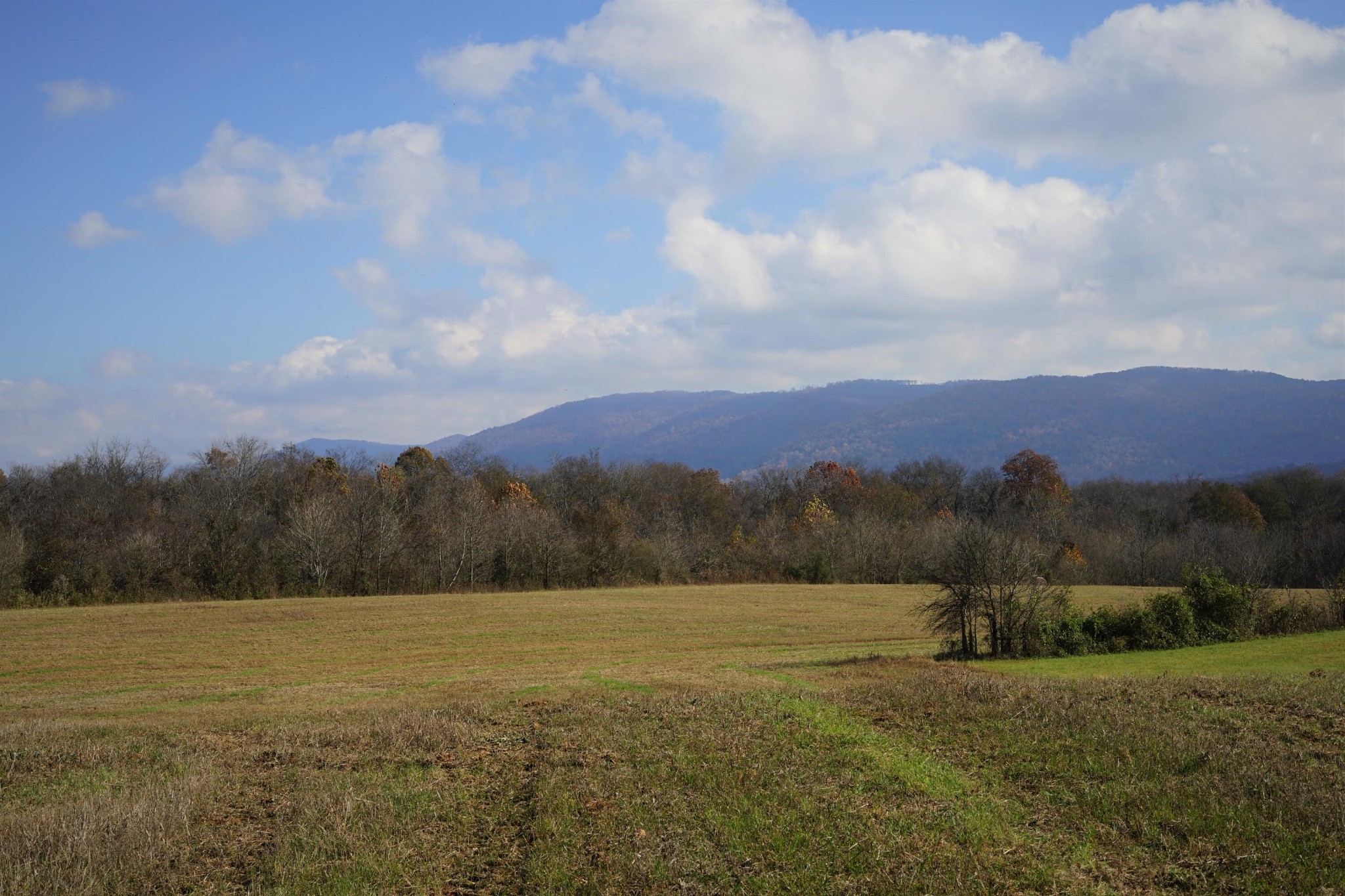 0 Putnam Road Pikeville, TN 37367 - Photo 1 of 8 Gallery Image 1