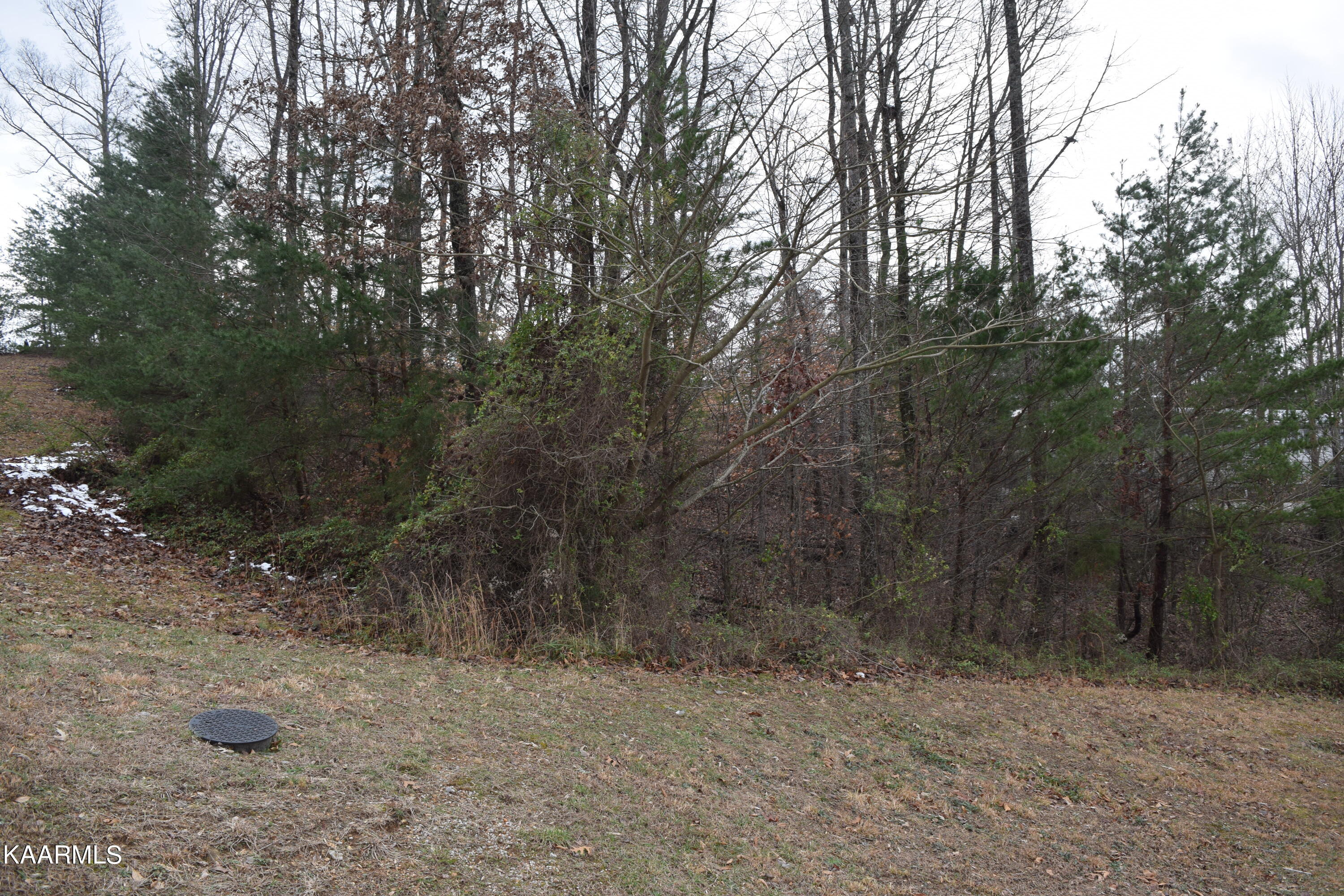 Lot 4 Hidden Ridge Powell, TN 37849 - Photo 1 of 2 Lot 4 Hidden Ridge