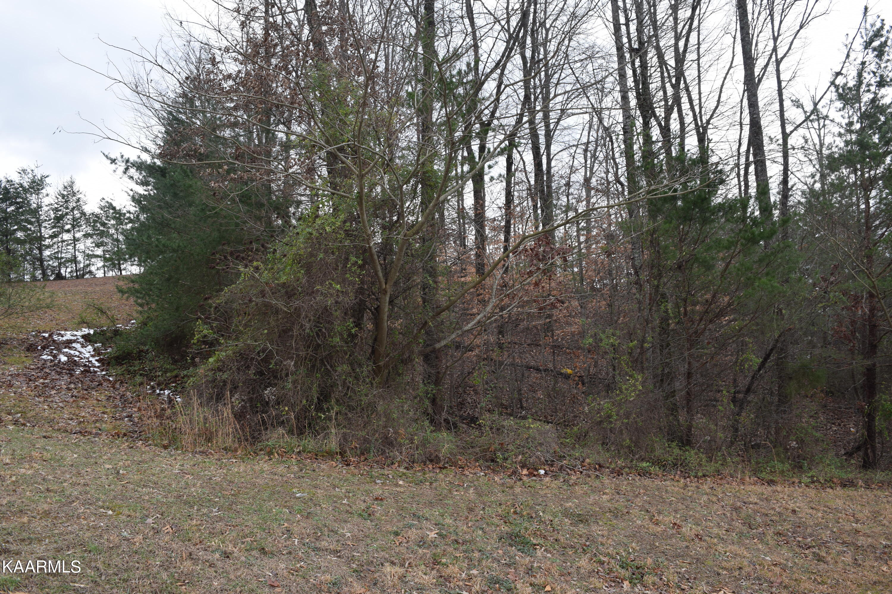 Lot 4 Hidden Ridge Powell, TN 37849 - Photo 2 of 2 Wooded Lot