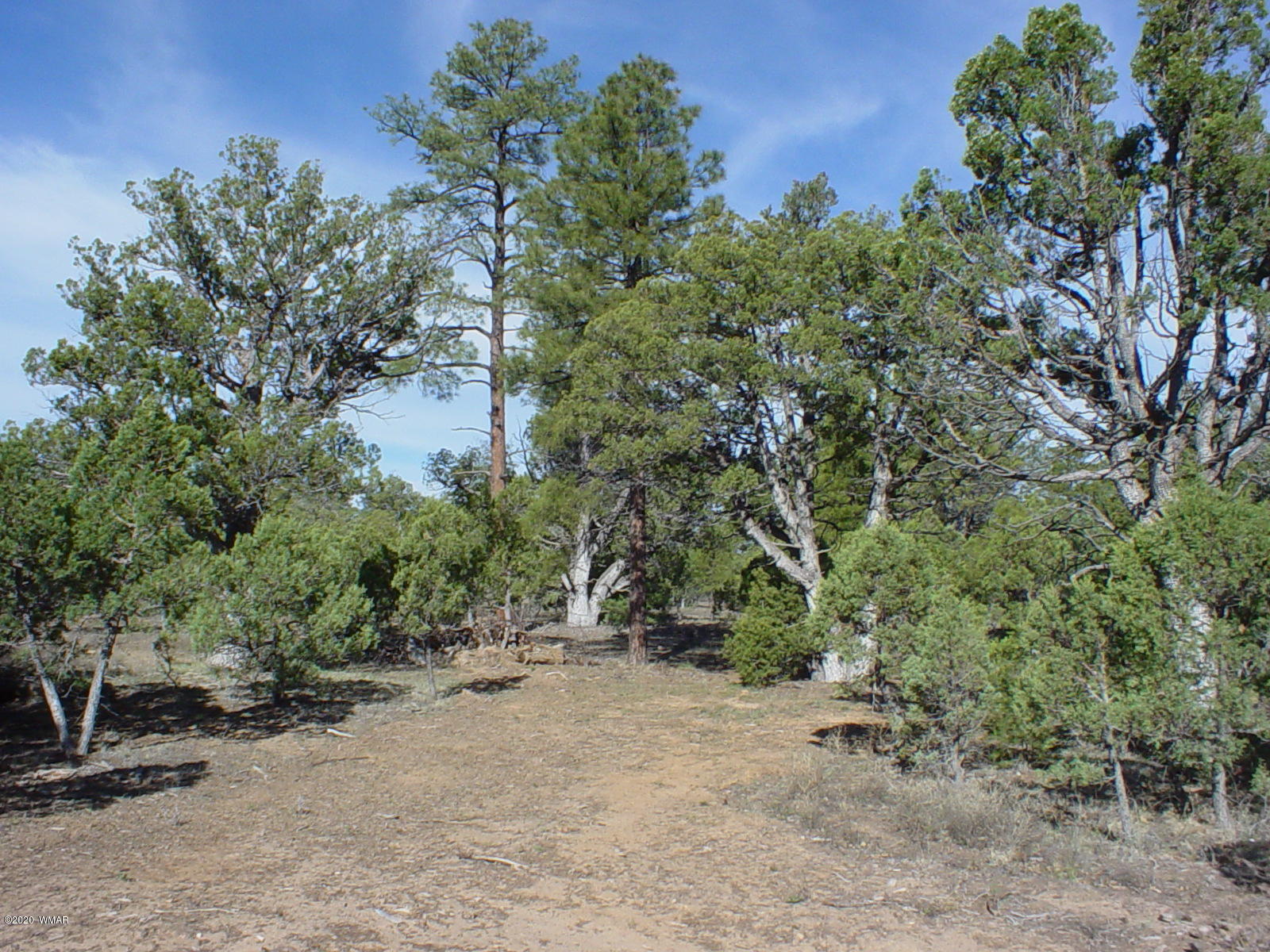 Tbd Tbd Majestic Elk ''lot 1'' Road Overgaard, AZ 85933 - Photo 7 of 9 an aerial view of a forest with houses