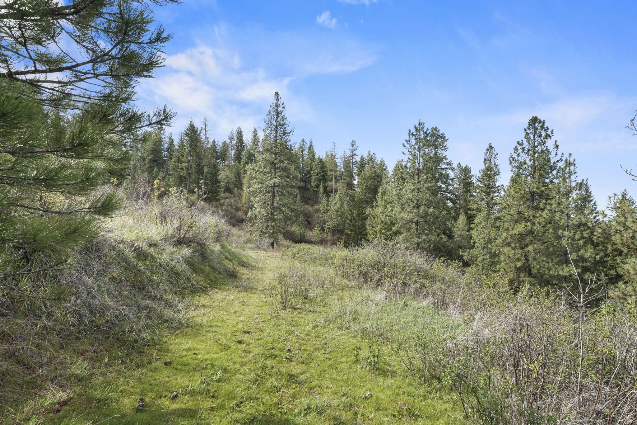 North Rockspring Lane Mead, WA 99021 - Photo 12 of 39 Gallery Image 12