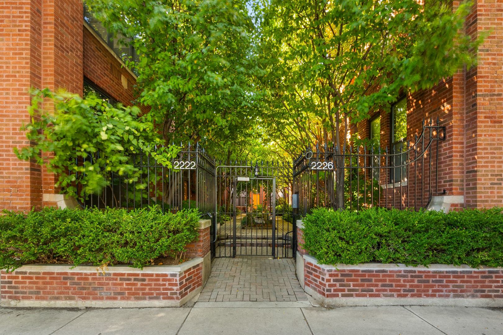 a view of backyard with potted plants and a large tree