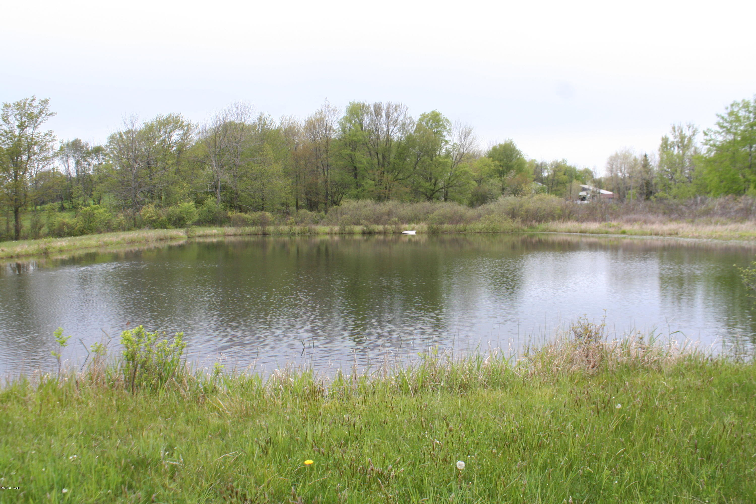 93 N Road Pleasant Mount, PA 18453 - Photo 10 of 17 Additional View of Pond
