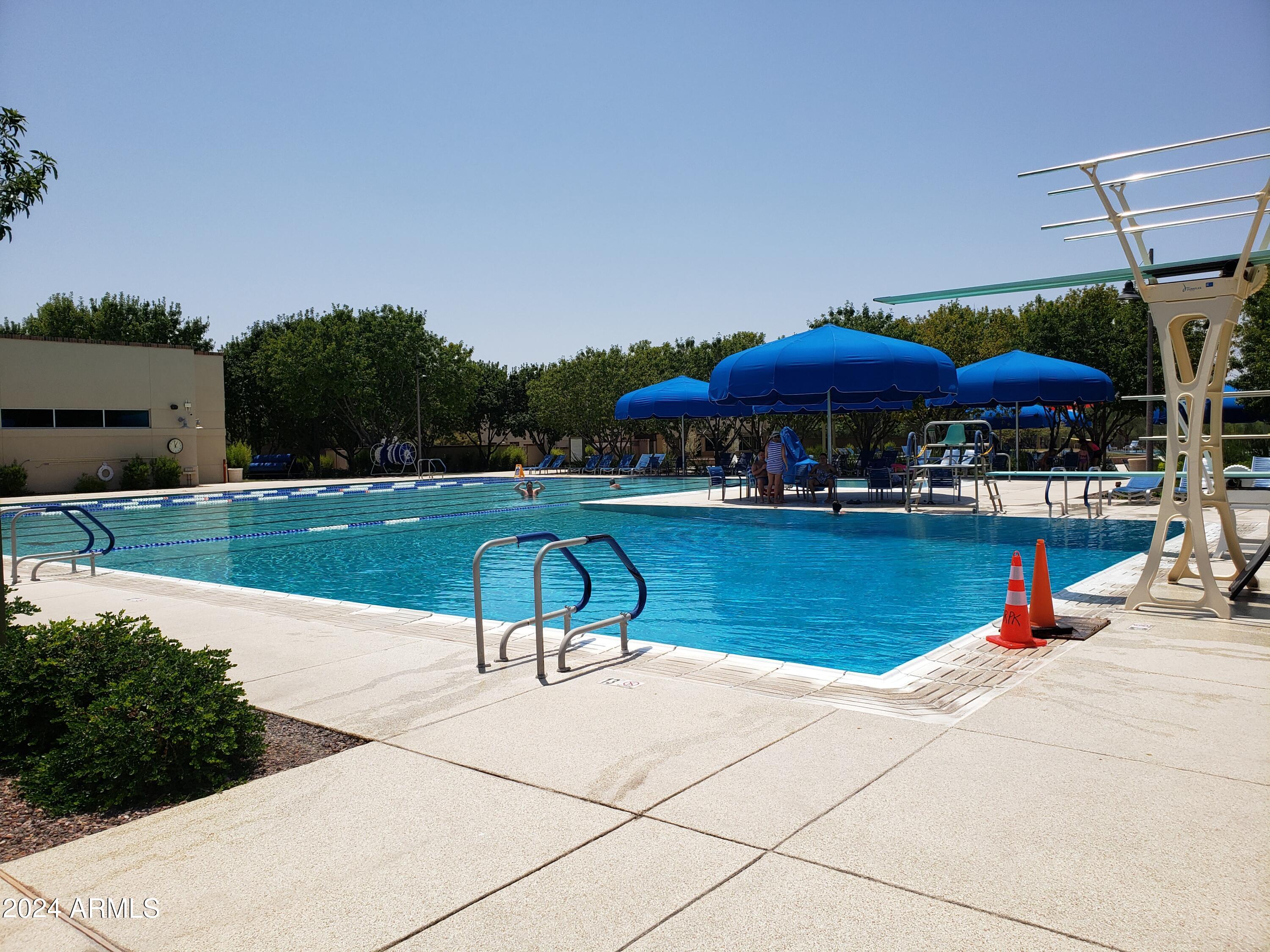 8426 West Gehrig Way Florence, AZ 85132 - Photo 30 of 46 Diving & Lap Pool