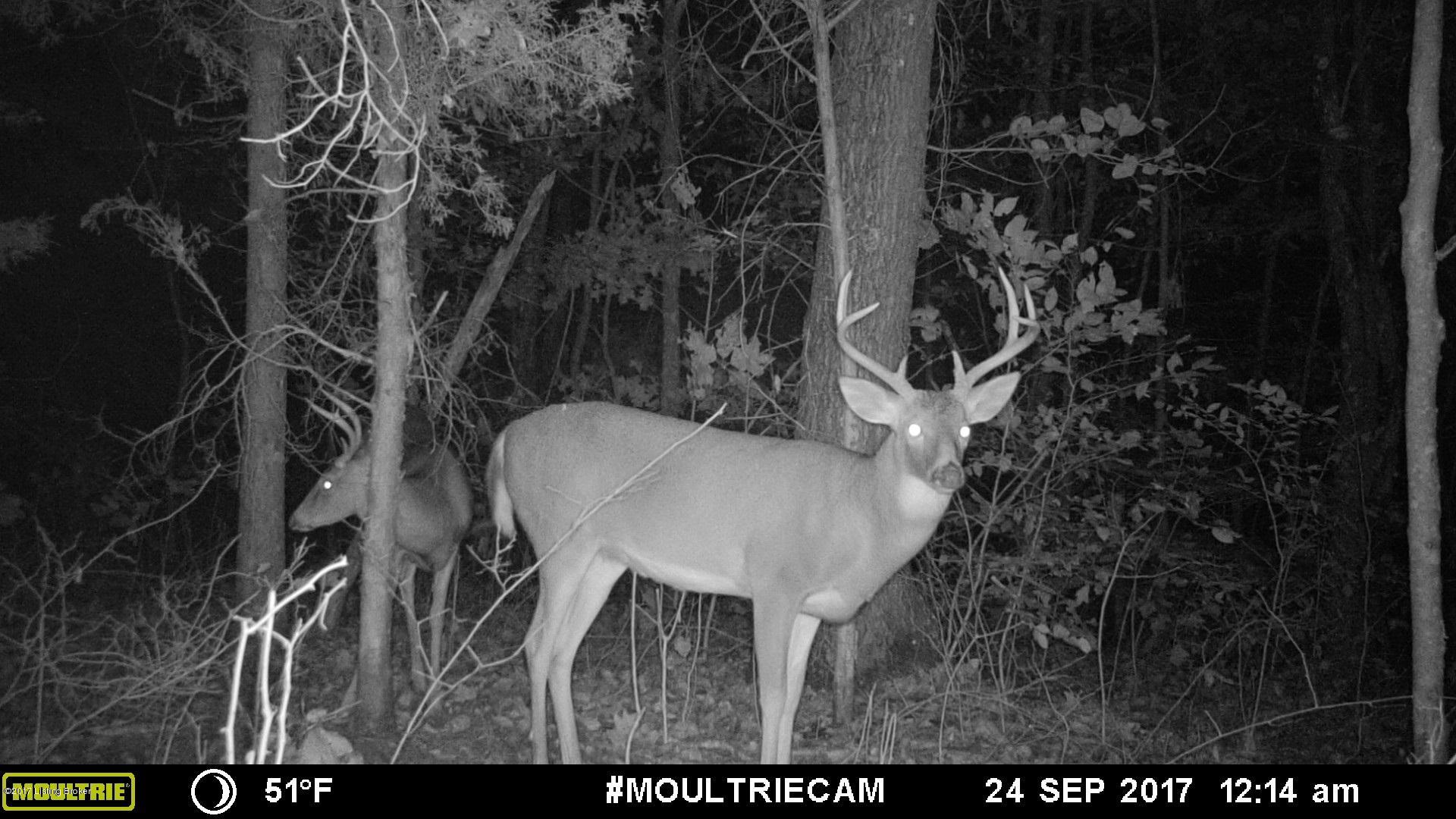 3 Sal Ashley Road Bee Spring, KY 42207 - Photo 19 of 21 MFDC8841