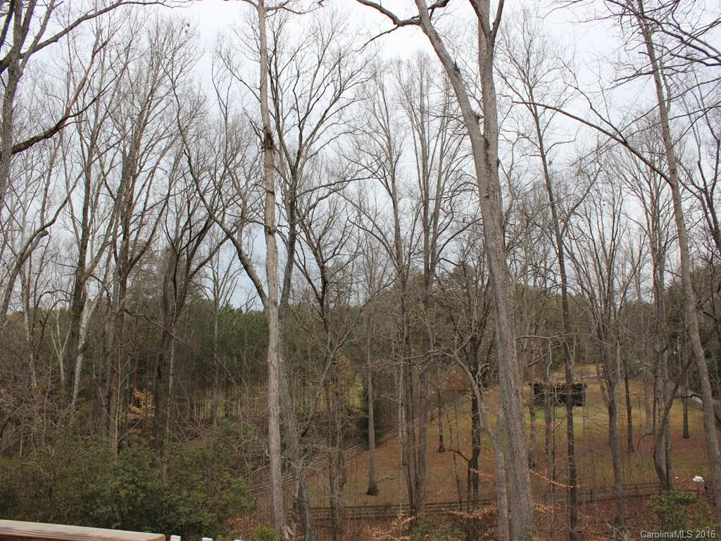201 Mahler Lane Tryon, NC 28782 - Photo 19 of 21 Gallery Image 19