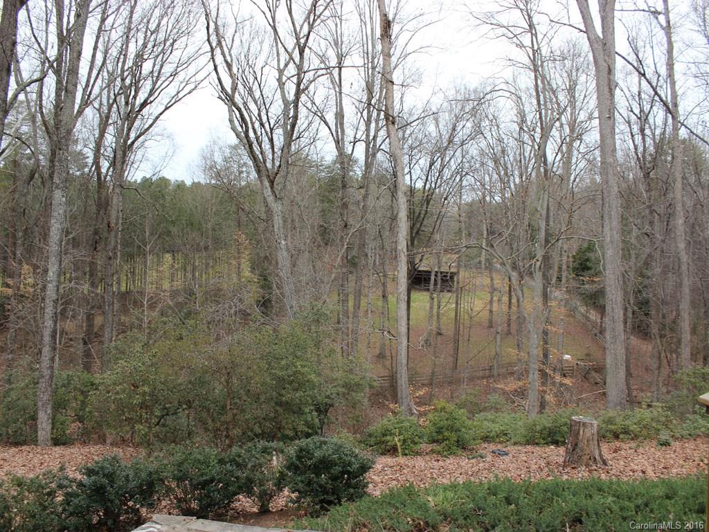201 Mahler Lane Tryon, NC 28782 - Photo 21 of 21 Gallery Image 21