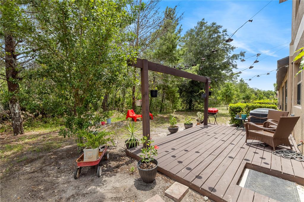 11742 Castine Street New Port Richey, FL 34654 - Photo 36 of 58