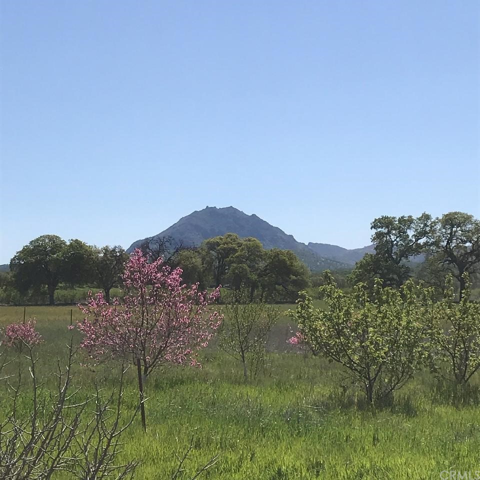 10222 North Butte Road Live Oak, CA 95953 - Photo 1 of 1