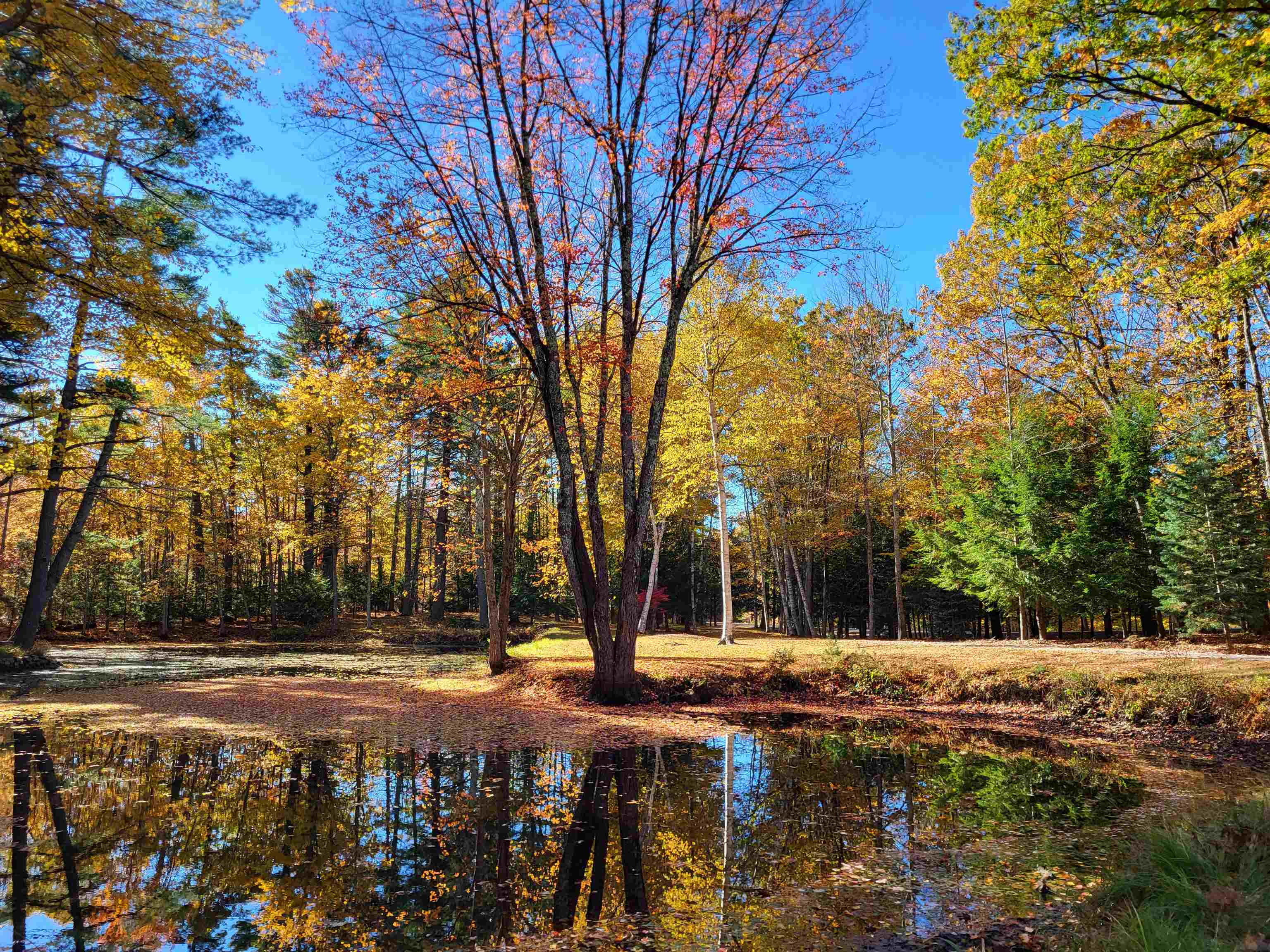 29 Kona Farm Road Moultonborough, NH 03254 - Photo 53 of 54