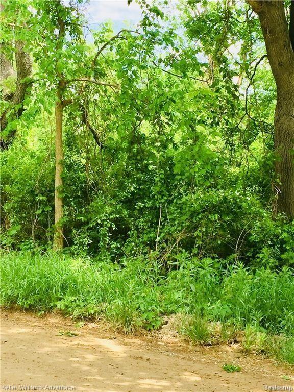 0 Wooley Road Oxford, MI 48371 - Photo 4 of 8