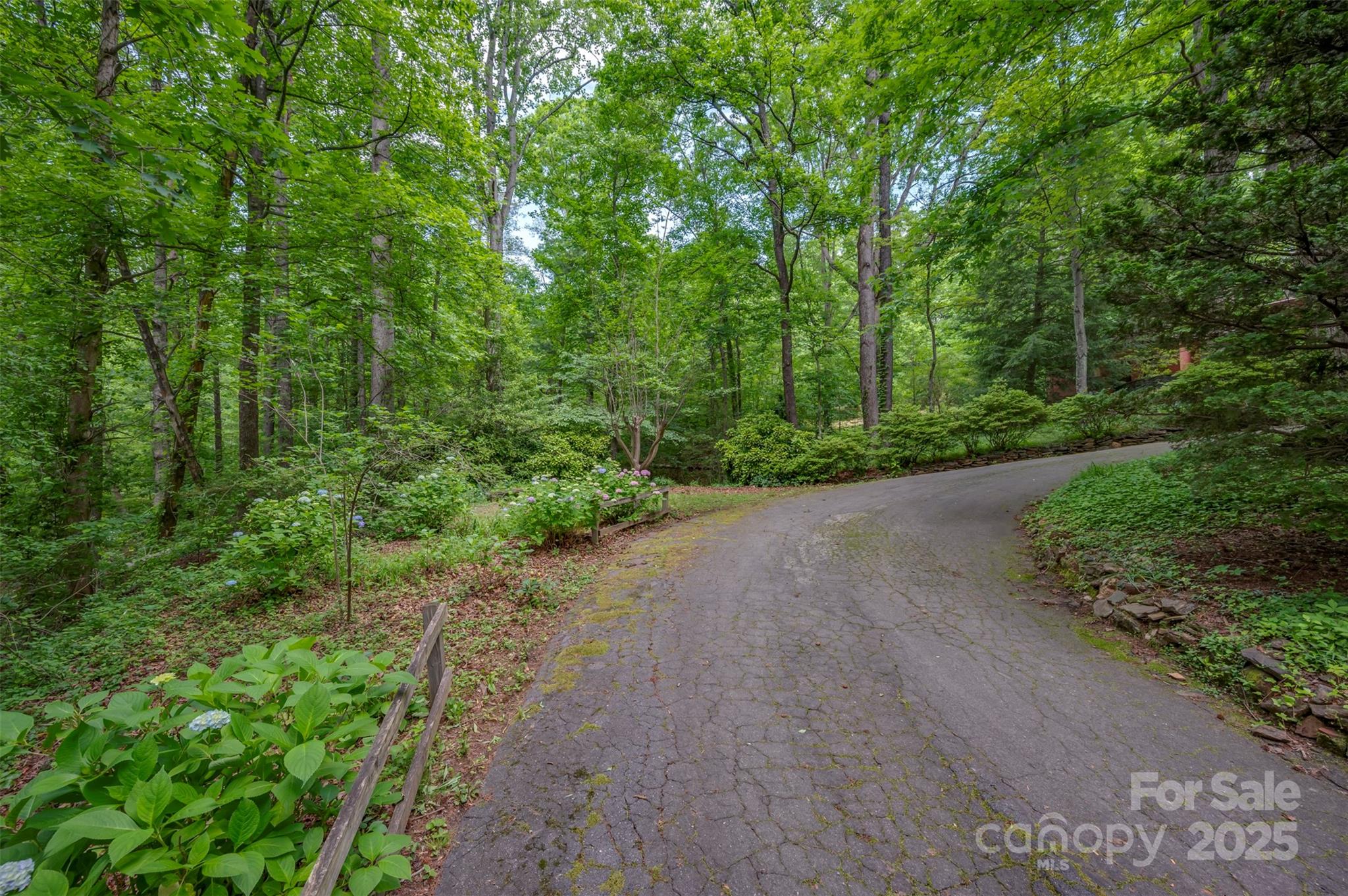 312 Page Farm Road Tryon, NC 28782 - Photo 41 of 44 a view of a road with trees in the background