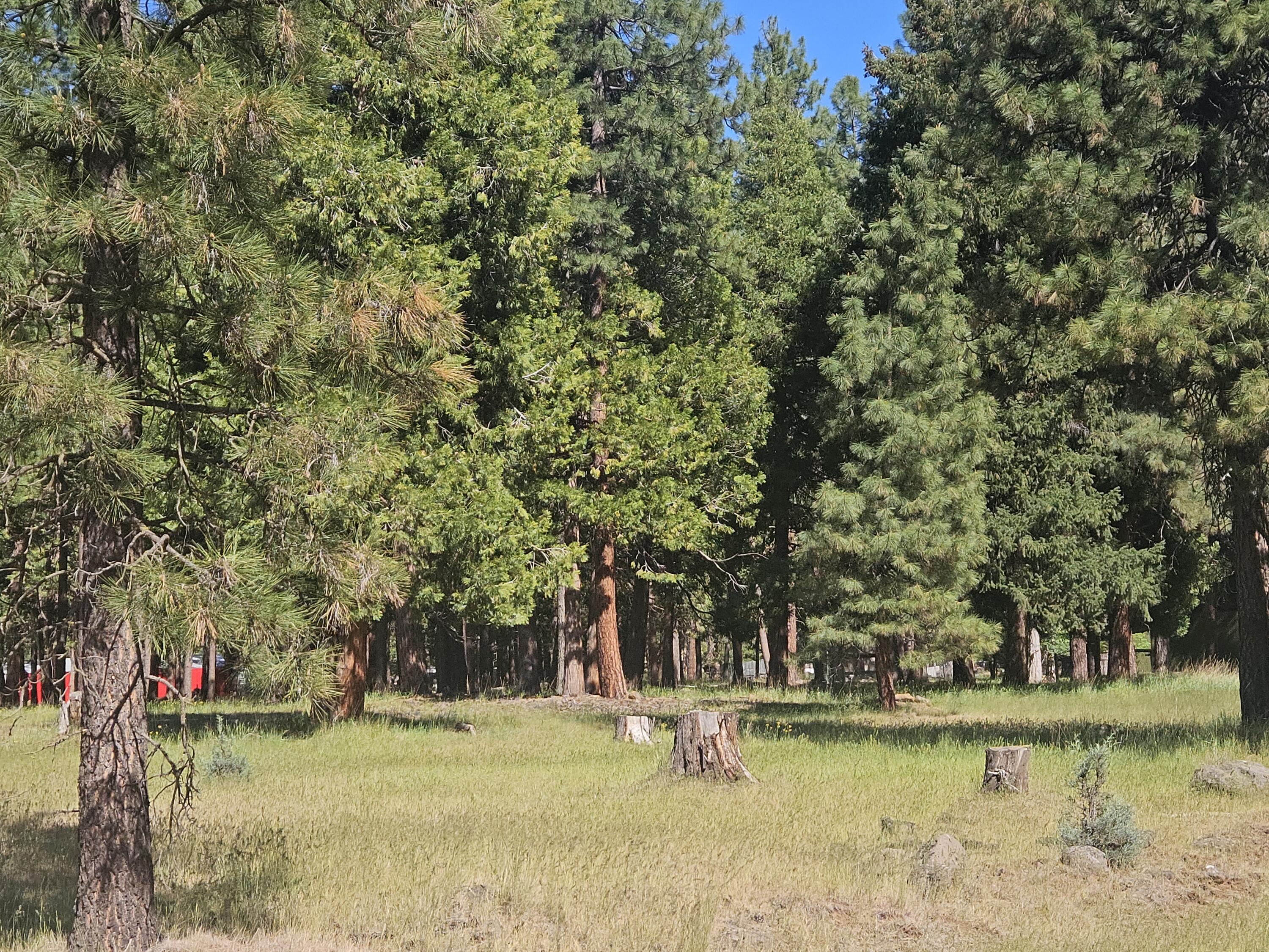 18015 Freight Rd Lane Klamath Falls, OR 97601 - Photo 21 of 24 20. Acreage
