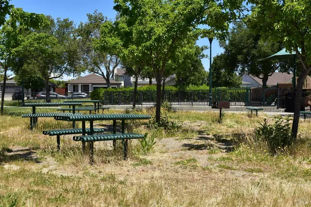a view of a park with trees and houses in the background