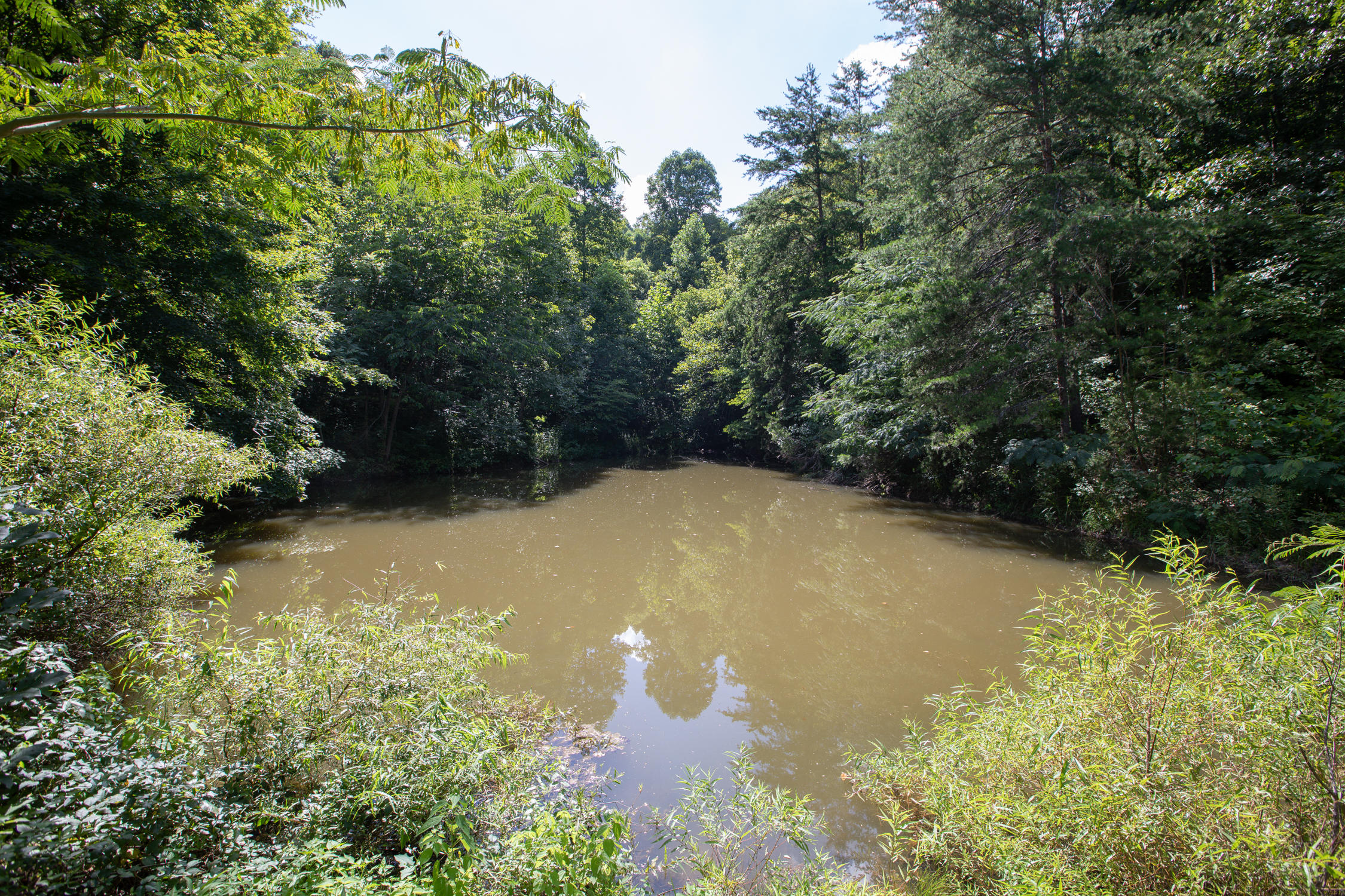 269 Reece Light Road Rogersville, TN 37857 - Photo 28 of 79 269 Reece Light Rd. Rog MLSb (61 of 62)