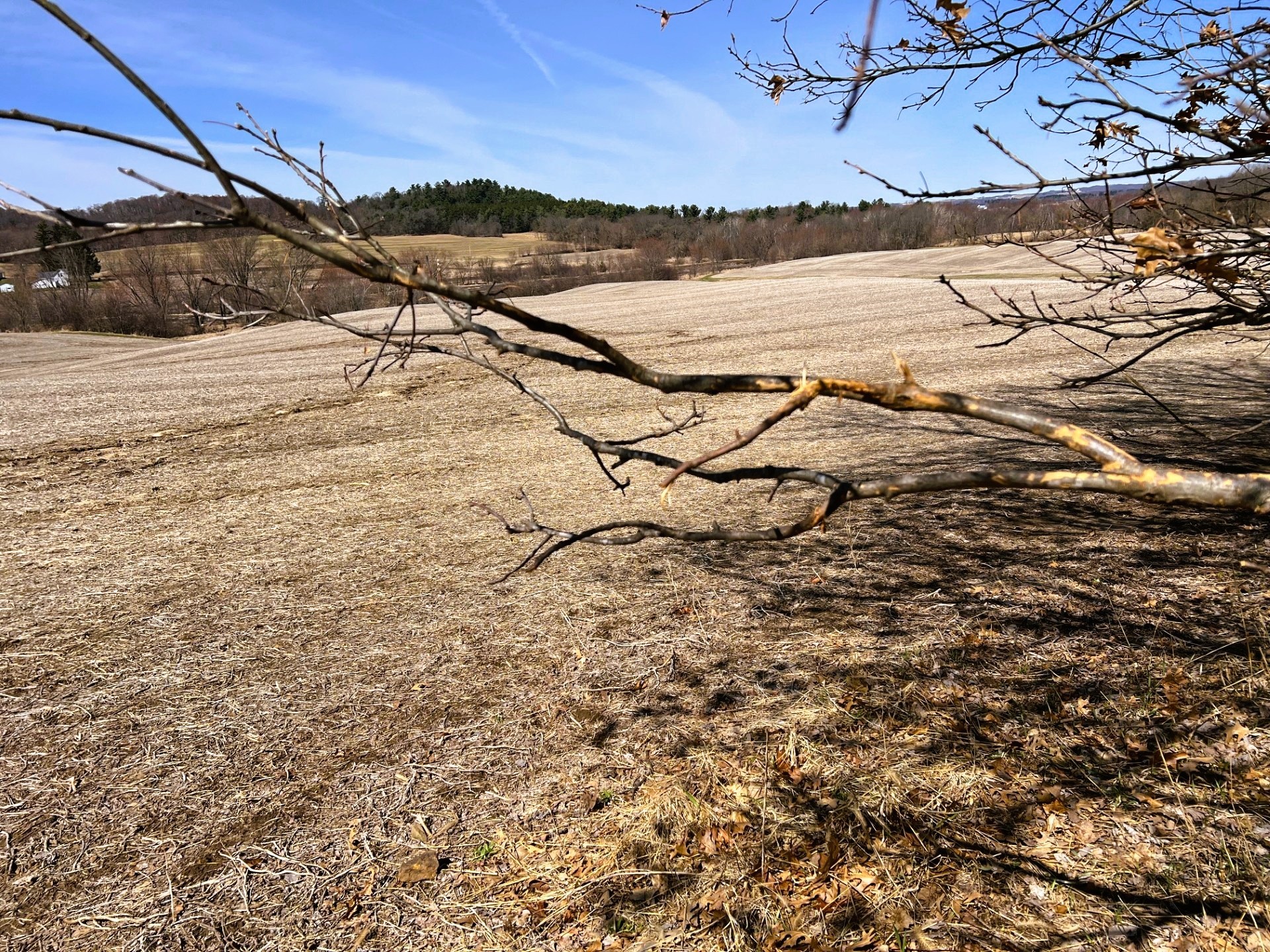 0 Pete Coulee Road Taylor, WI 54659 - Photo 31 of 49