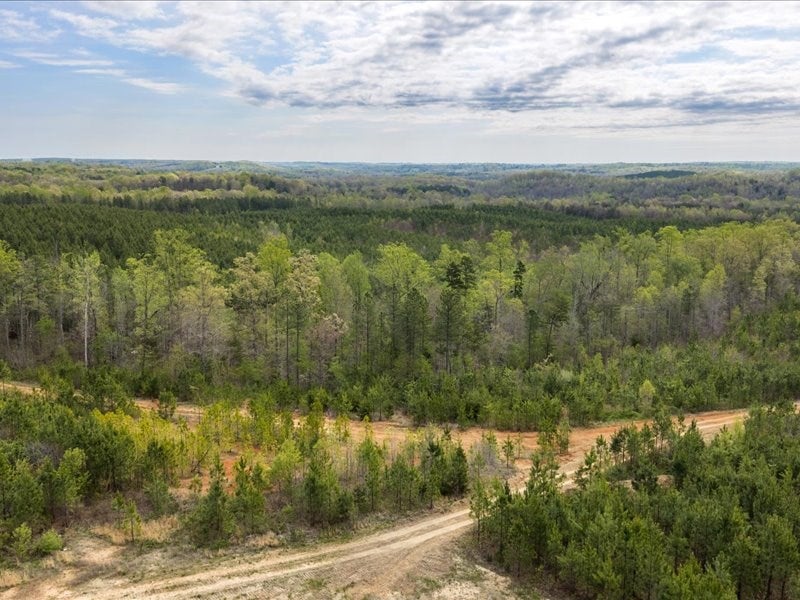 Cutbanks Road Pamplin, VA 23958 - Photo 33 of 44 Gallery Image 33