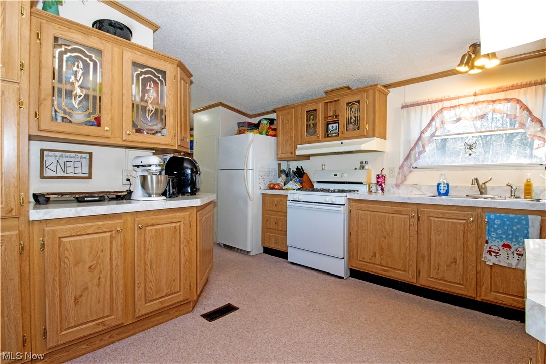 3233 Dover Road Wooster, OH 44691 - Photo 19 of 30 Kitchen featuring white appliances, a textured ceiling, sink, and light carpet