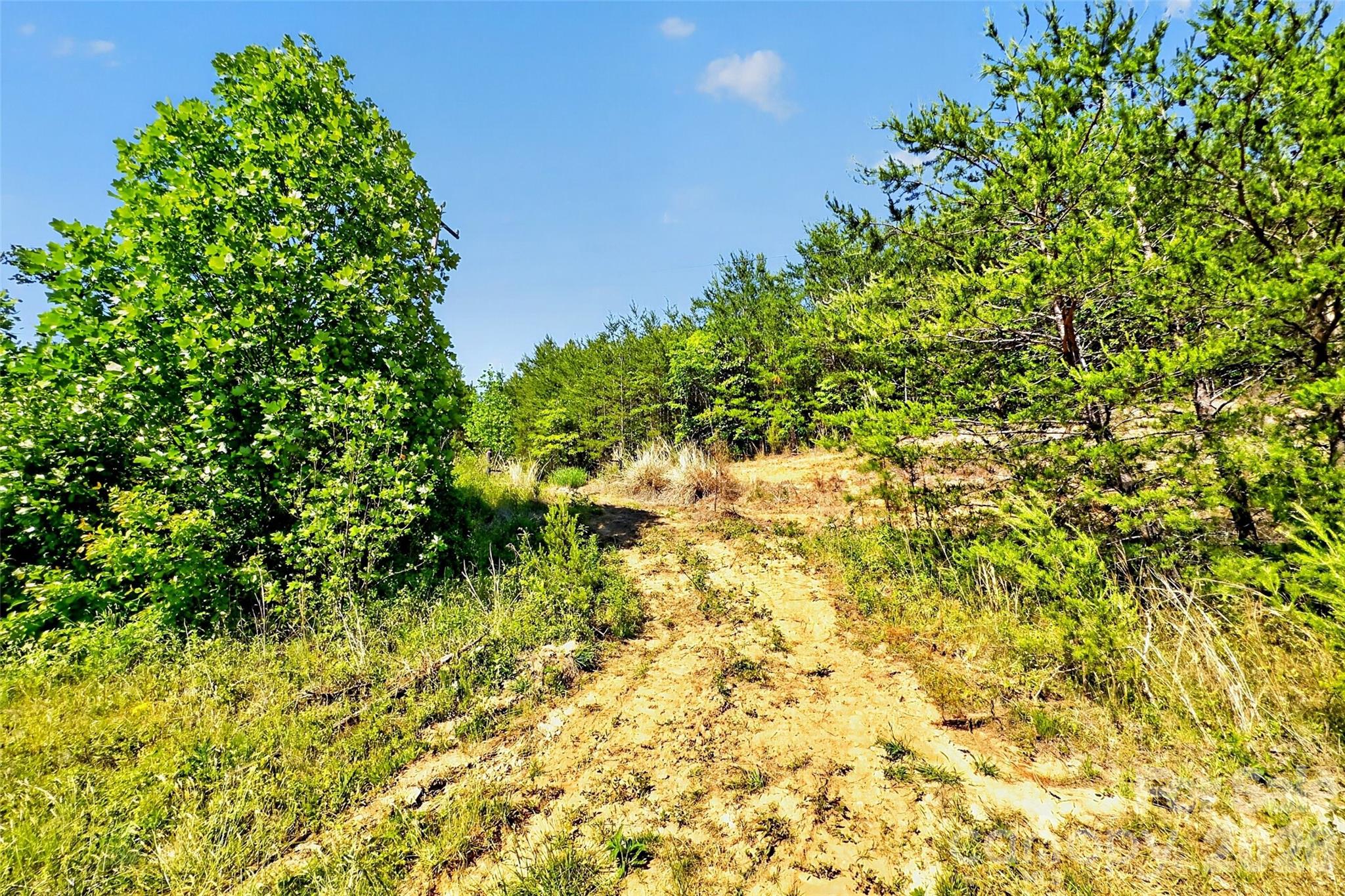 3361 Bethlehem Road Old Fort, NC 28762 - Photo 30 of 47