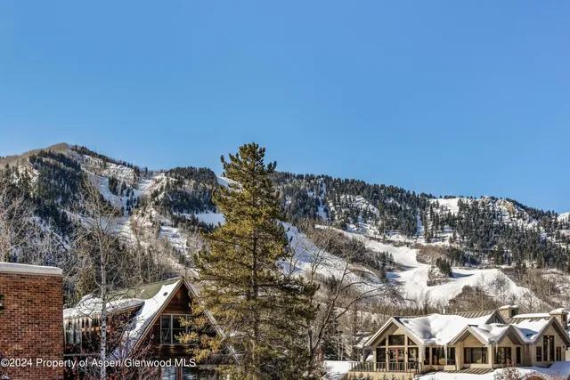 $65,000 | 1006 East Hyman Avenue, Unit B, Aspen, CO 81611
