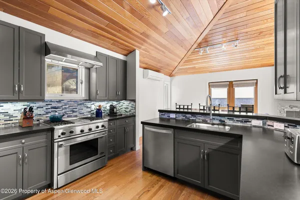 $65,000 | 1006 East Hyman Avenue, Unit B, Aspen, CO 81611