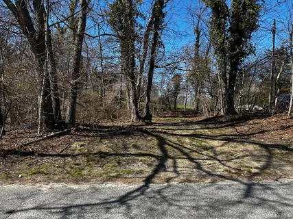 a view of a backyard of the house