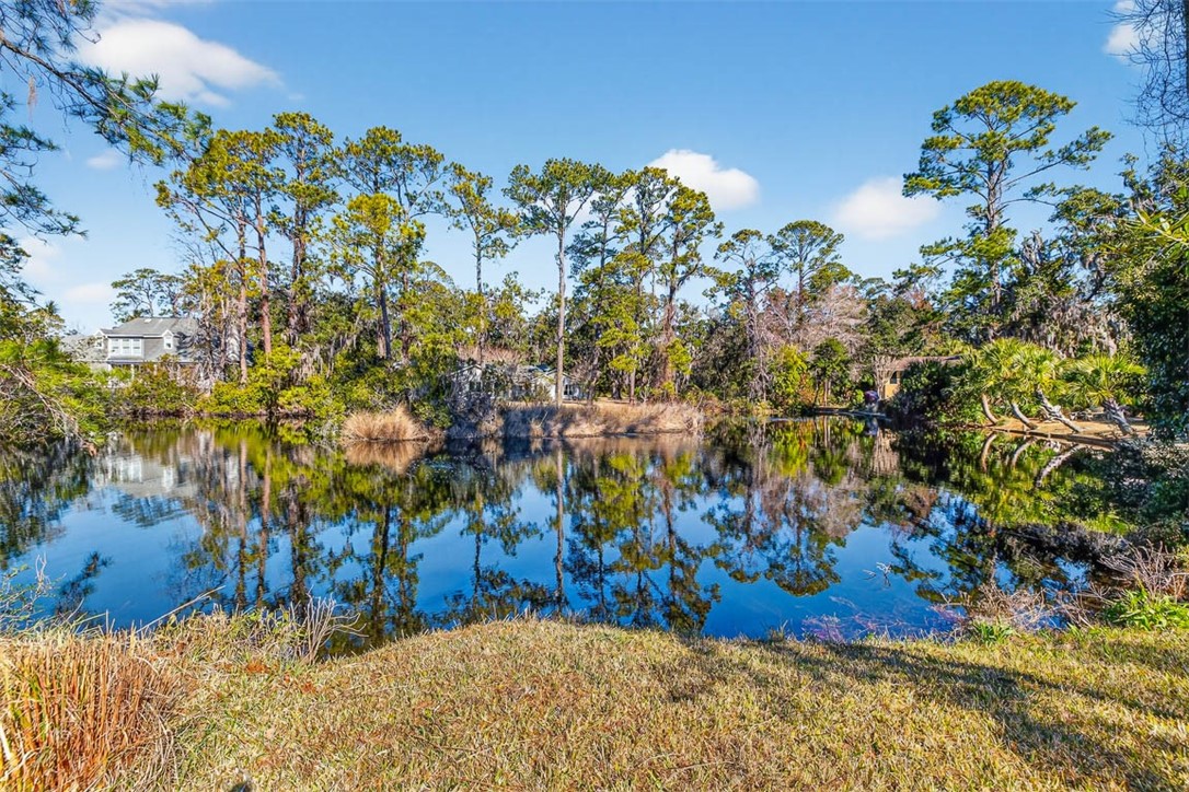 17 Boundary Lane St. Simons Island, GA 31522 - Photo 57 of 62 Back yard