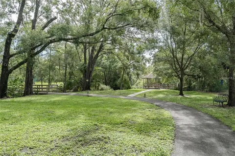 a view of a park with large trees