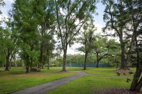 a huge green field with lots of trees
