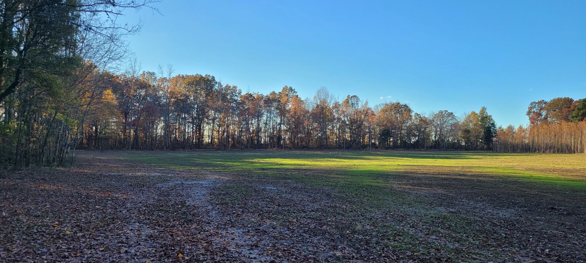 1 Summitville Road Morrison, TN 37357 - Photo 11 of 13 a view of a yard with a trees